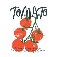 Tomato vegetable artwork for t shirt print, Tomato local farm. tomatoes art. Red tomato vintage t-shirt, womes girls graphic tee.