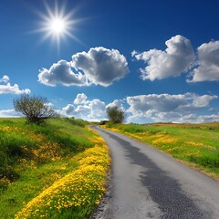 Scenic countryside road in spring with sun sky grass and flowers .