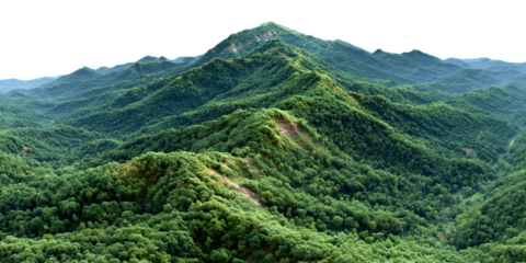 Lush green mountain range isolated on transparent background
