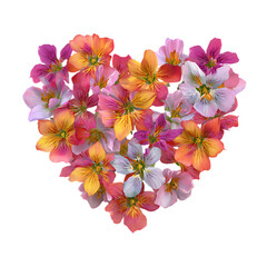 PNG HeartShaped Bouquet Vibrant Flower Arrangement Colorful Floral Design Romantic Pink Orange Purple Blooms CloseUp View Botanical Beauty against transparent Background