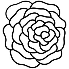 sketch of a rose