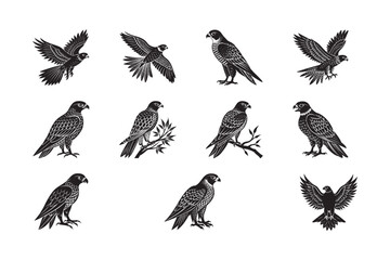 Obraz premium silhouette of falcon set bundle on the white background