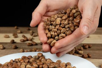 Handful of raw uncooked vicia faba beans close-up