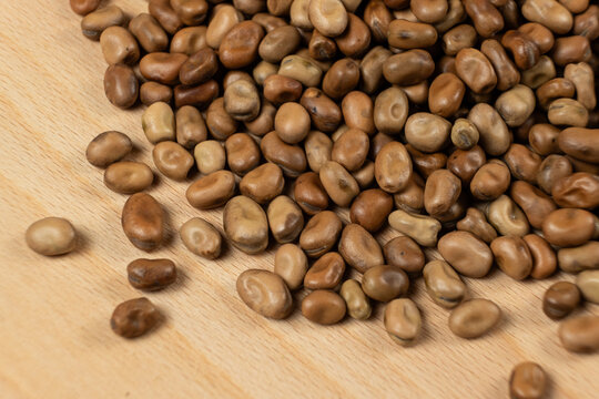 Dried Vicia Faba beans macro, source of vegetable protein