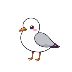 Adorable Little Seagull