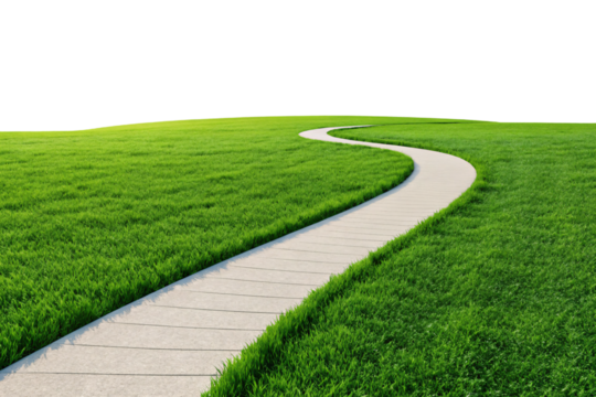 Winding stone pathway through vibrant green grass field under clear sky, isolated on a transparent background
