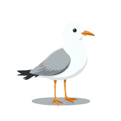 Detailed Seagull Design