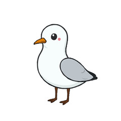 Adorable Little Seagull 