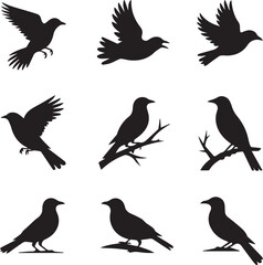 Black Bird Silhouette Set Flying and Perched Birds Vector Illustration


