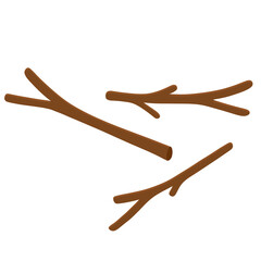 Random Twigs From Plants