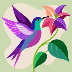 Hummingbird Feeding on Pink Flower; Bird, Floral Illustration