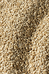 White Quinoa Macro Background. Raw Superfood Texture