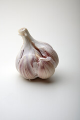 garlic on a white background