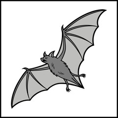 Bat on a white background