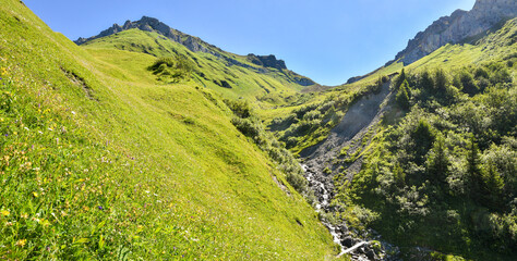 green slope with flowers, little creek, landscape near St. Antonien, switzerland
