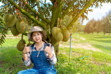 Durian produce from farms in Sisaket Province, Thailand