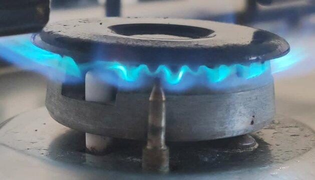 Gas Stove Burner Flame Video