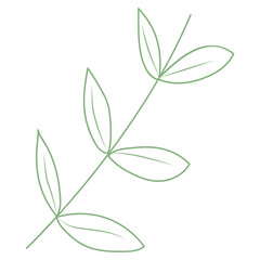 Obraz premium Aesthetic Leaf