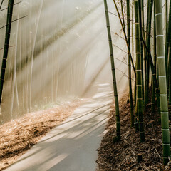 irrigation system in the field