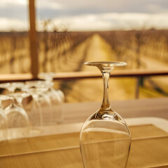 glasses on the table