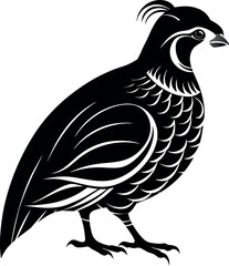 quail silwhoette vector icon on white backround