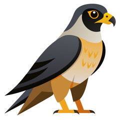 Stylized Peregrine Falcon Illustration with Bold Colors and Geometric Shapes Standing Tall on a White Background Perfect for Educational Material or a Nature Themed Design