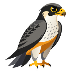 Fototapeta premium Stylized Peregrine Falcon Illustration A Detailed Vector Image of a Bird of Prey with Distinctive Markings Including a Yellow Beak Sharp Claws and Grey and