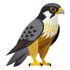 Fototapeta premium Stylized Peregrine Falcon Illustration A Detailed Look at a Majestic Bird of Prey in a Modern Flat Design with Sharp Details and a Striking Color