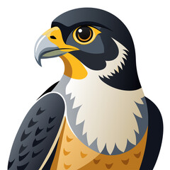 Stylized Peregrine Falcon Illustration A Striking Depiction of a Majestic Bird of Prey with Sharp Features and Bold Colors on a Clean White Background Perfect