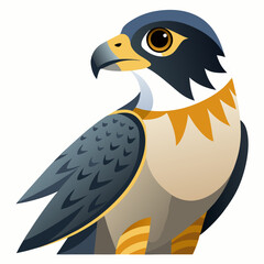 Stylized Peregrine Falcon Illustration with Geometric Shapes and Bold Colors Featuring a Sharp Beak and Focused Gaze Against a Clean White Background Perfect for Nature