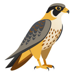 Stylized Peregrine Falcon Illustration A Striking Depiction of a Majestic Bird of Prey Standing Tall with its Sharp Talons and Distinctive Markings Against a Clean