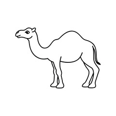 Camel Silhouette vector