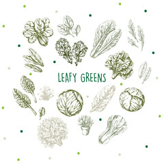 Hand-Drawn Leafy Greens Botanical Illustration with Green Accents