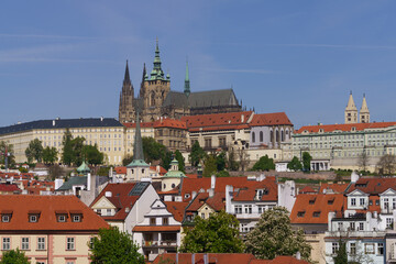 Fototapeta premium Prague Castle and St. Vitus Cathedral above Vltava River