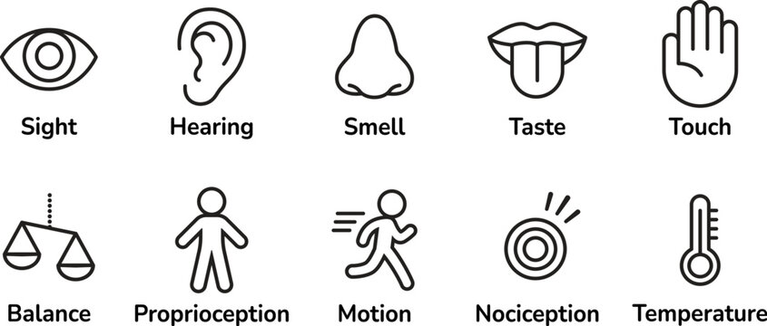 Icon set of human senses of perception. Sight, smell, hearing, touch, taste and sense of balance, temperature, body and pain. Simple, minimal line icons vector illustration.