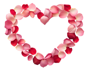 A delicate heart shape formed by soft pink and red rose petals, isolated on transparent background, creating a romantic and elegant design