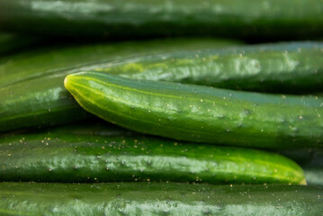 Fresh Cucumbers