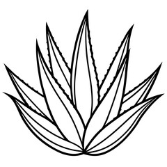 Aloe Vera line art vector