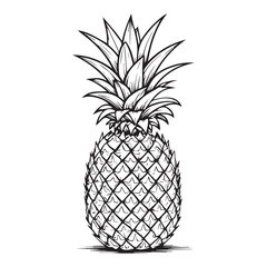 Stylized black and white line drawing of a whole pineapple fruit