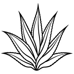 Aloe Vera line art vector