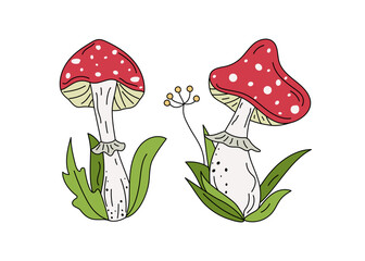 Amanita set, mushrooms, fly agaric, leaves. Set. Cartoon mushrooms. Hand drawn icons, doodle drawings, illustration.