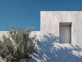 A tree is in front of a building with a window. The tree is casting a shadow on the building