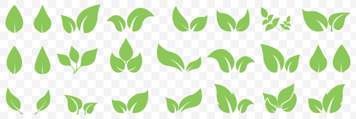 Green leaf icons set. Leaves icon on isolated Transparent background. Collection green leaf. Elements design for natural, eco, vegan, bio labels. Vector illustration EPS 10