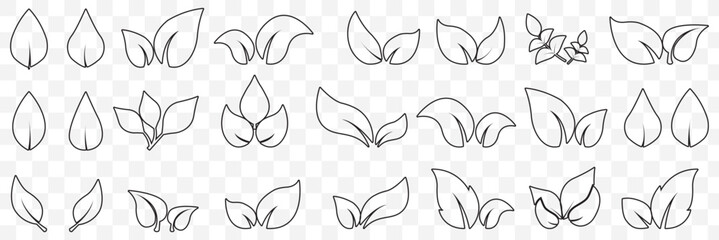 set of line leaf icons on Transparent Background. EPS 10.