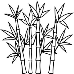 Bamboo line art vector