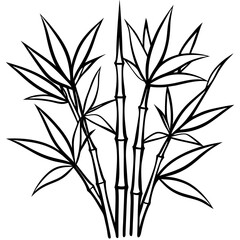 Bamboo line art vector