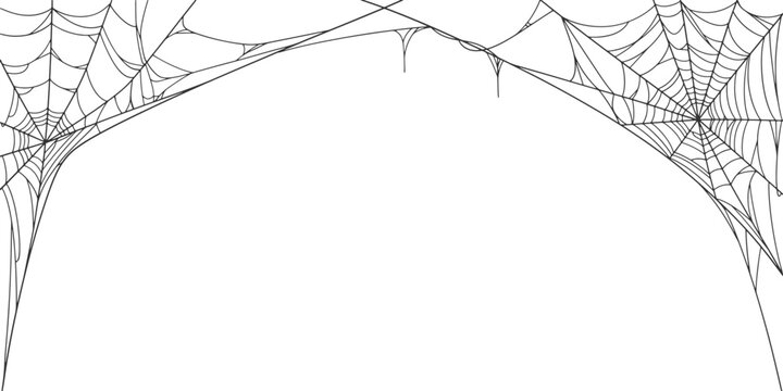 Halloween Cobweb frame border, spider web Vector Isolated on Transparent Background. Vector eps