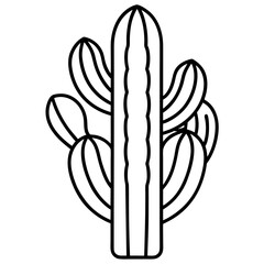 Cactus line art vector