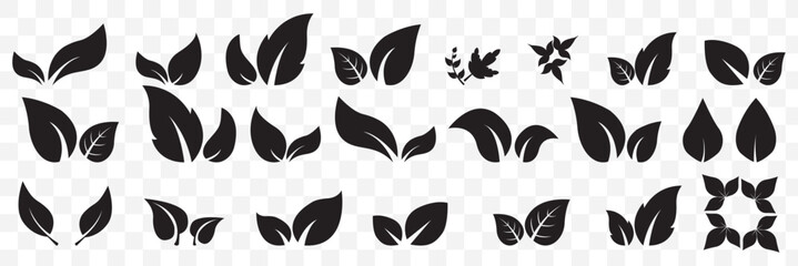 leaf icon. Black leaf icons set. Leaves icon on transparent background. Collection green leaf. Elements design for natural, eco, vegan, bio labels  on Transparent Background. EPS 10.