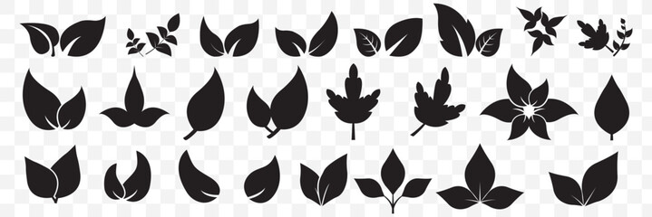 Set of Black leaf icons. Green color. Leaf green color icon logo. Leaves on white background. Ecology. Vector illustration on Transparent Background. EPS 10.